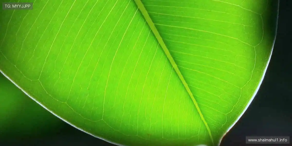 🏃 赛道上的每一步,都值得被见证!